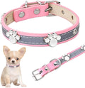 Reflective adjustable leather dog collar with paw rivet on a grey background.