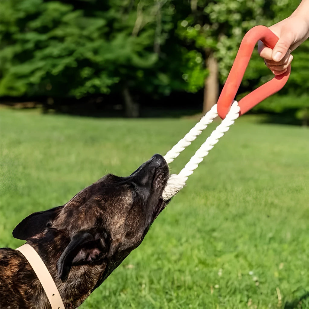 Large triangular pet pull ring toy in cotton rope available in three colours