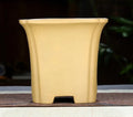 Classical square purple clay orchid pot, 15.5 cm width, in black finish