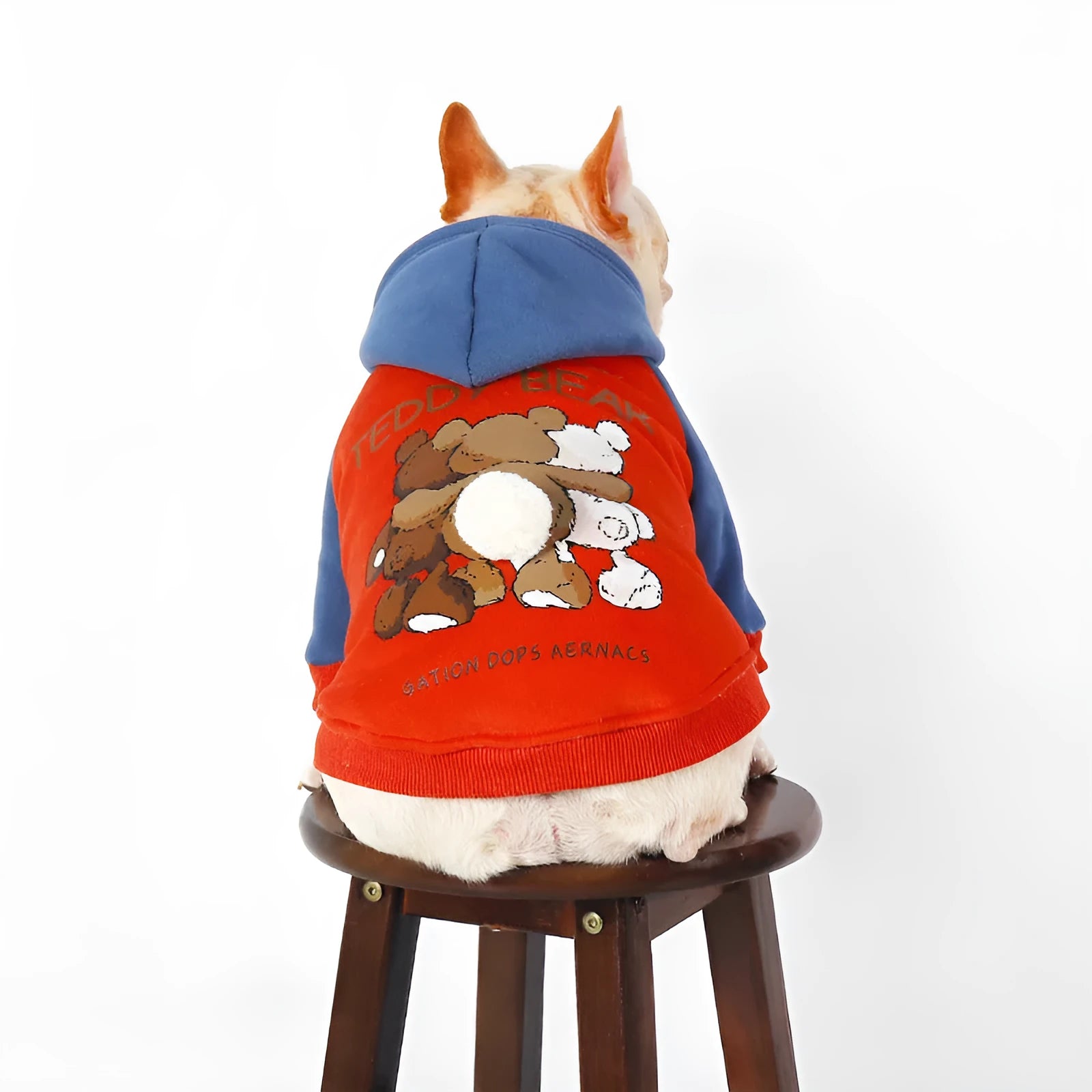 Red cotton dog clothes for small to medium breeds in autumn and winter seasons