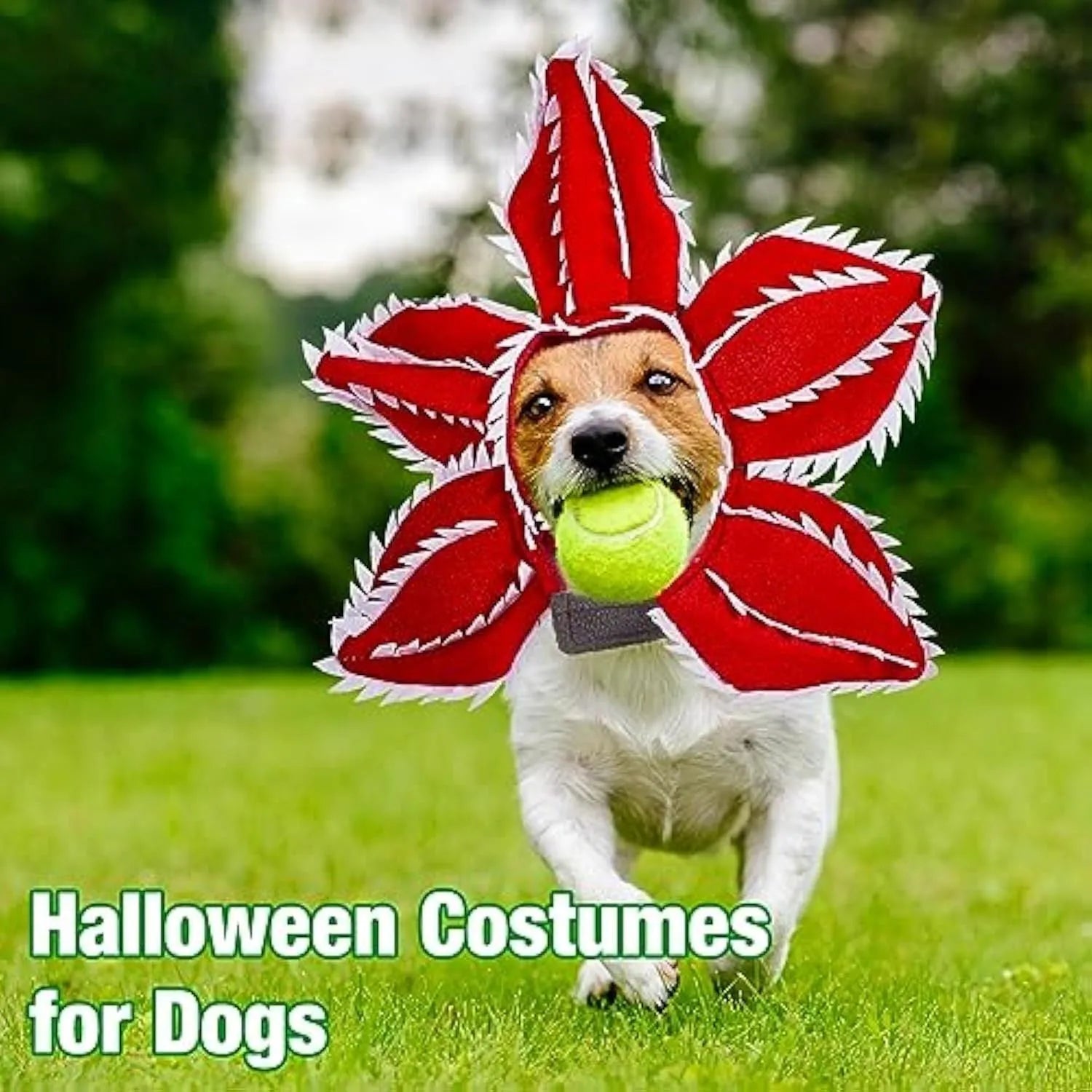 Halloween dog costume headband with chomper mouth, demon horns and alternative flower crown for medium-sized pets