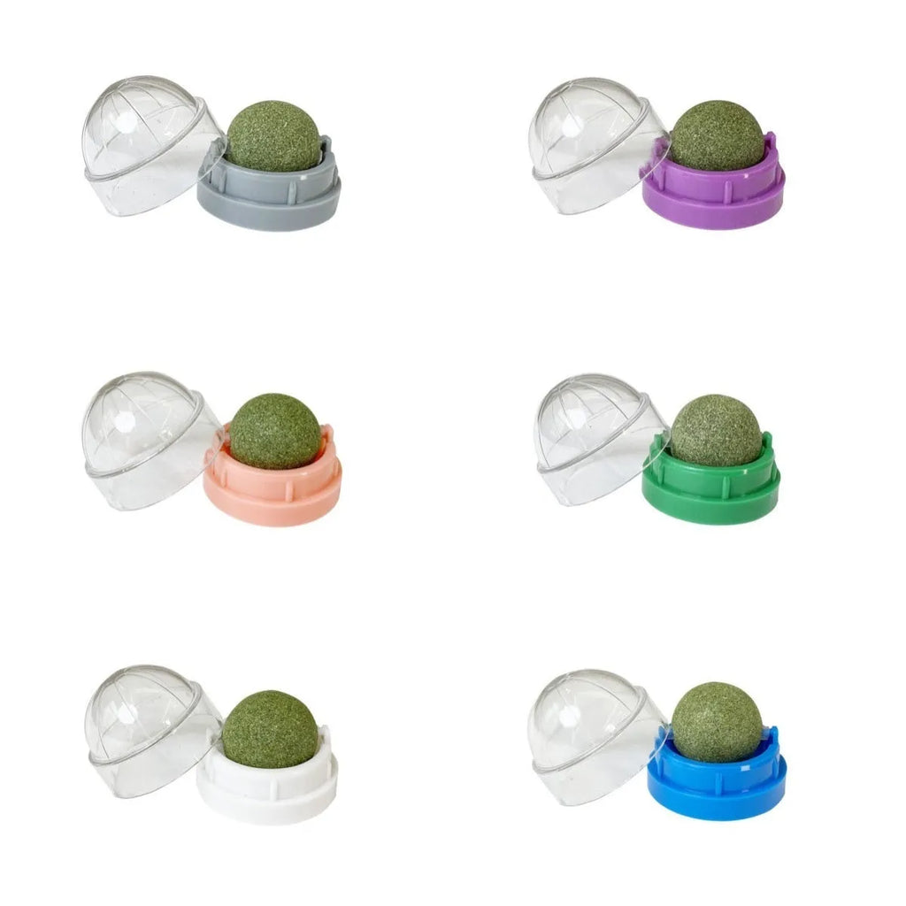 Colourful plastic catnip ball chew toy for dental care on a white background.
