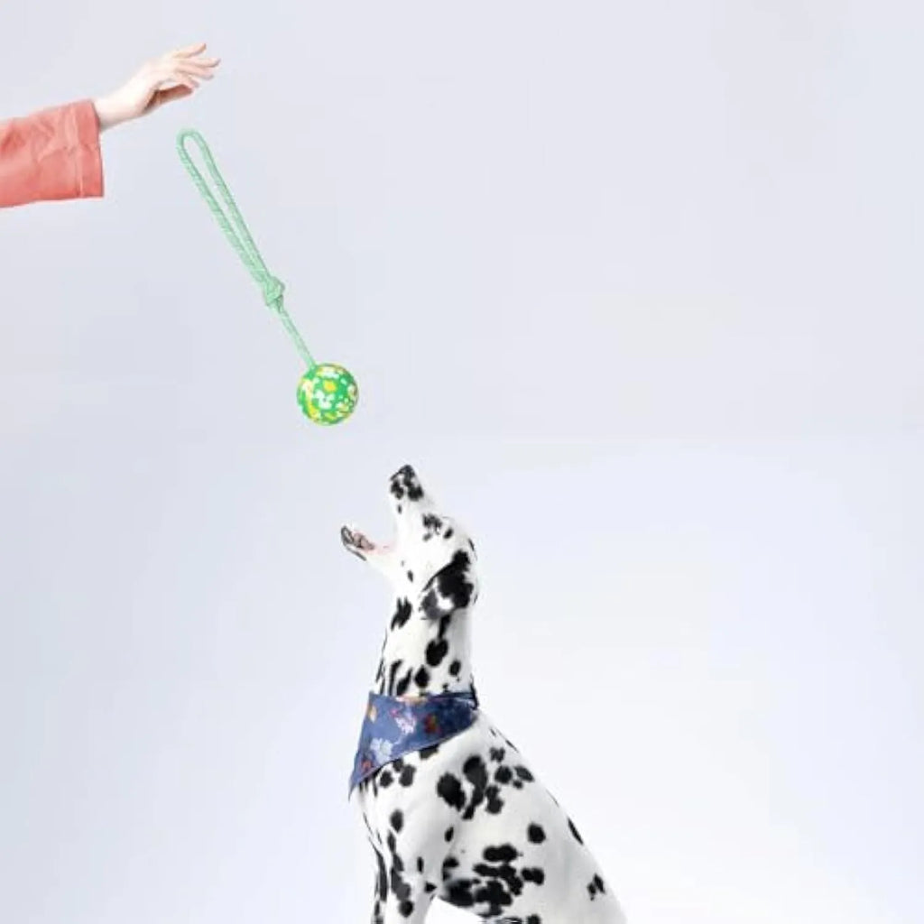 Natural rubber dog ball attached to a blue nylon rope for fetch and tug play