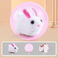 Transparent hamster exercise ball with plush rabbit shell on battery base