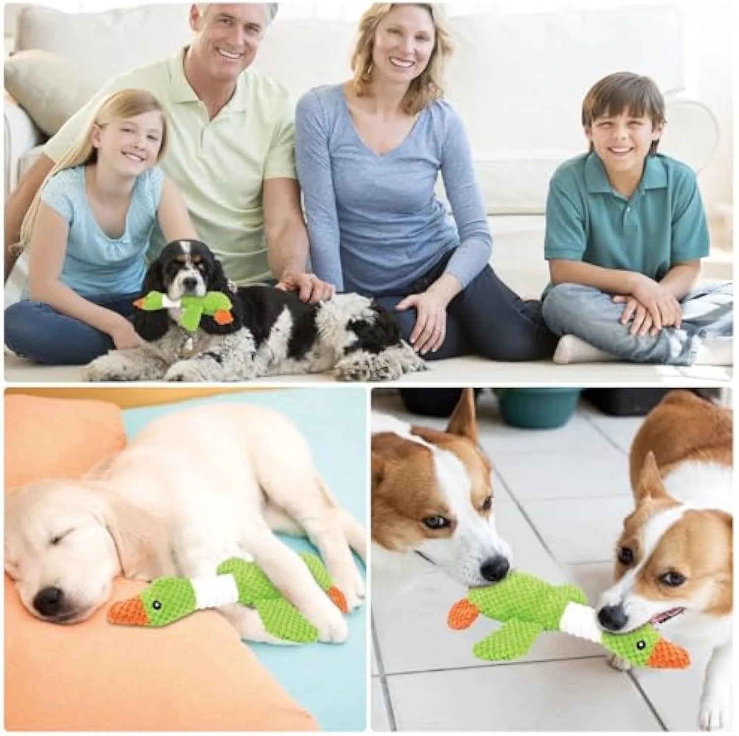 Blue duck-shaped plush dog toy with squeakers for chewing and interactive play