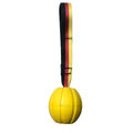 Yellow and camouflage coloured EVA floating dog training balls in different sizes on a blue background.