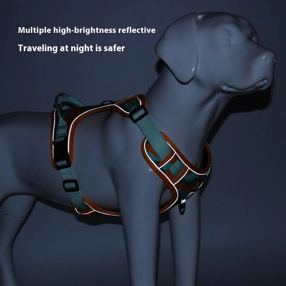 Reflective orange dog harness and leash for chest and back control on a dog.