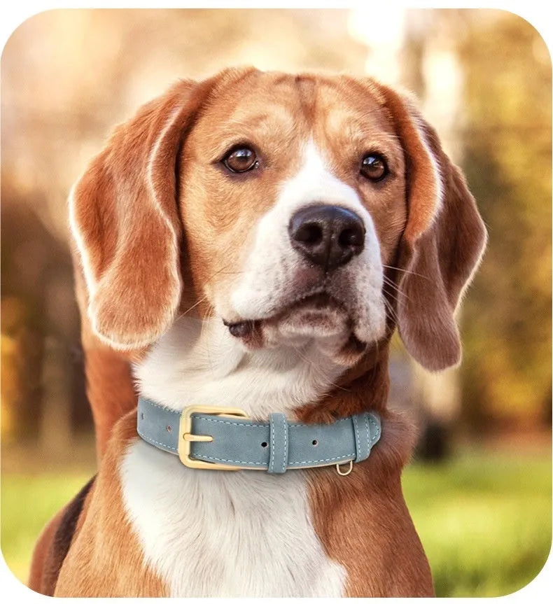Brown double-layer leather dog collar and matching leash set on a white background.