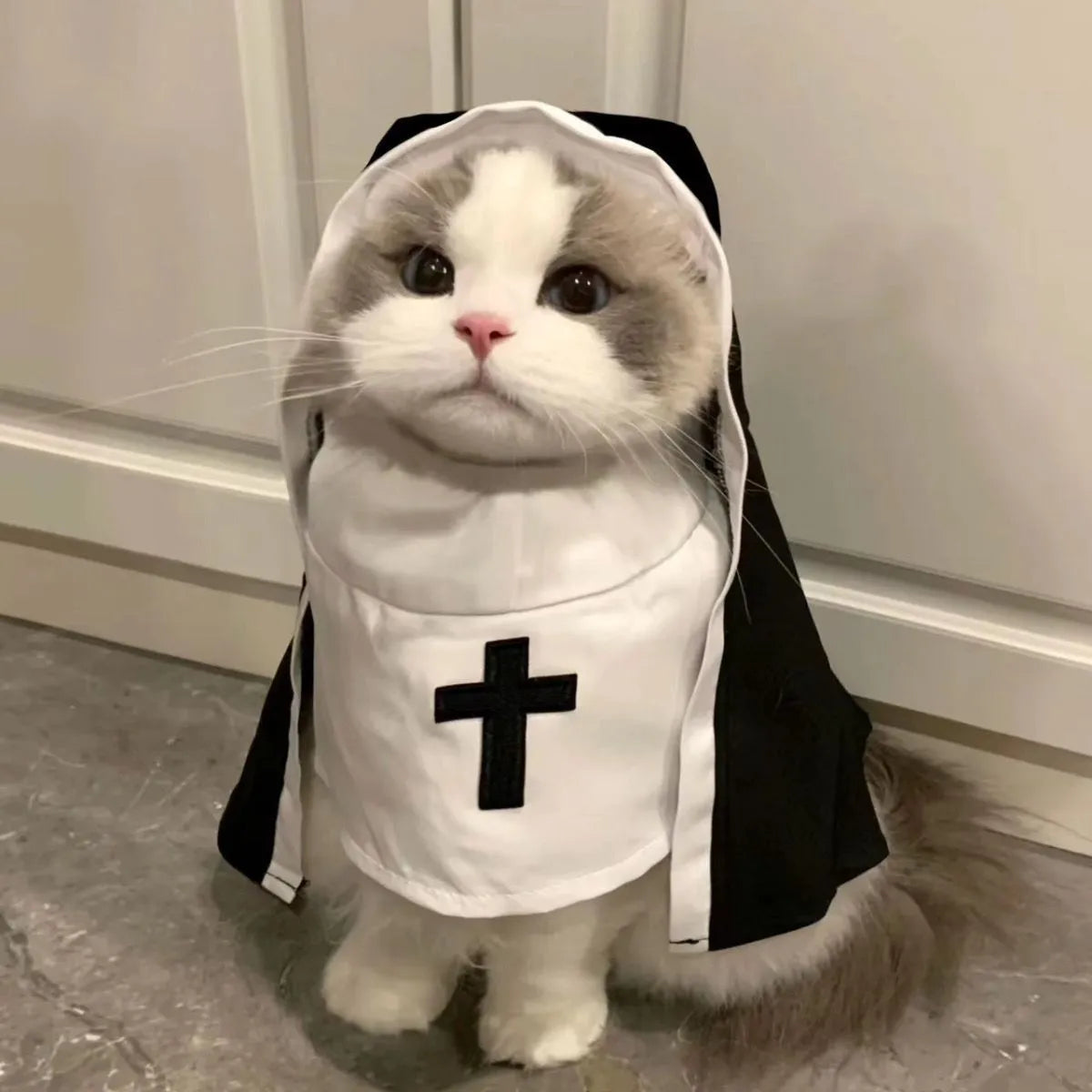 Black and white nun costume for small to medium dog on model