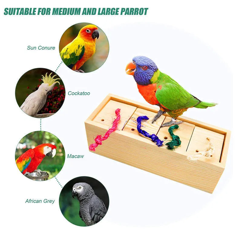 Wooden parrot puzzle toy set with multiple pieces for bird foraging enrichment