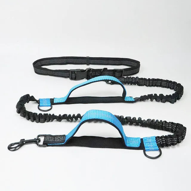 Adjustable nylon pet leash in fluorescent green, orange, or light blue, one size, for walking and jogging.