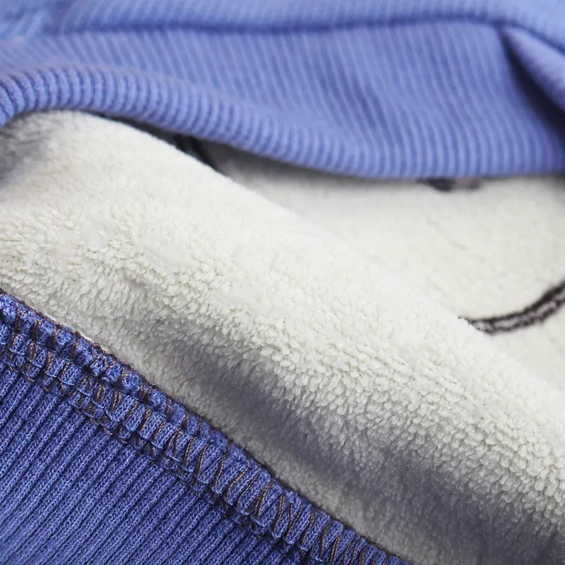 Blue and purple cartoon print cotton plush hoodie for a small dog on a neutral background