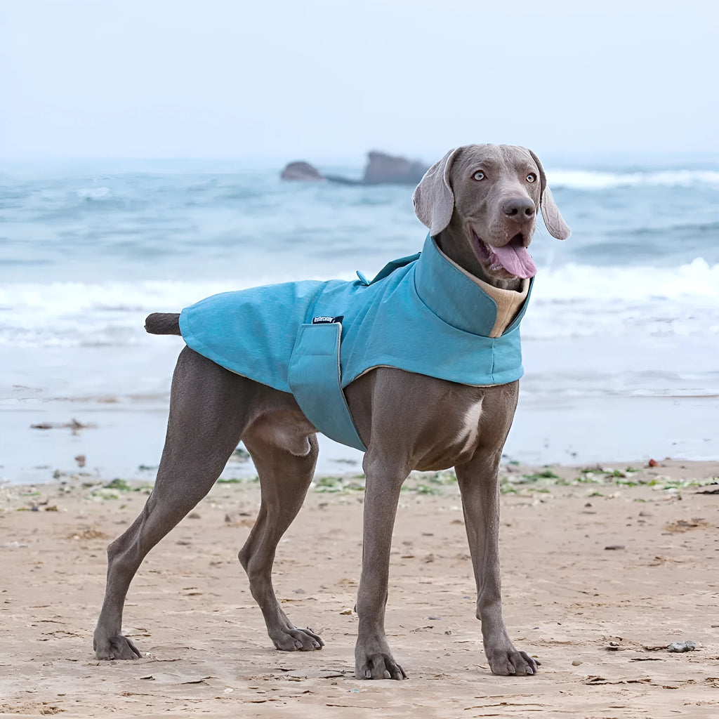 Polyester dog vest for medium large breeds in rose red light blue or grey colours cold-proof washable