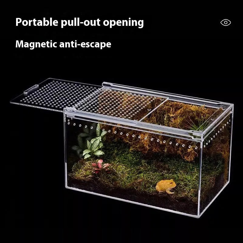 Transparent acrylic reptile feeding box showing five different size options on a white background.