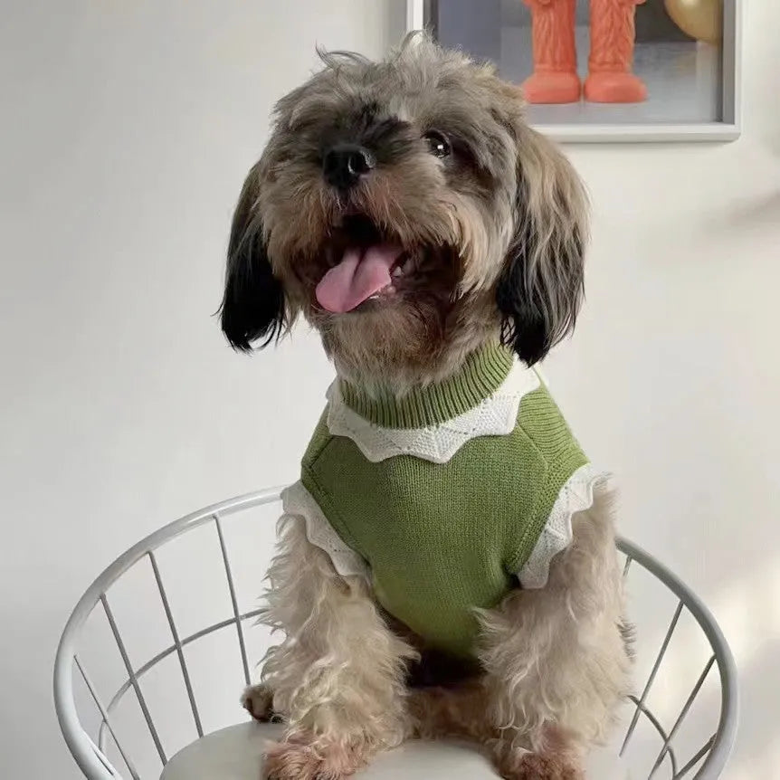 Green flower blossom pattern dog sweater shown on a small pet, with a size chart for XS to XL visible.