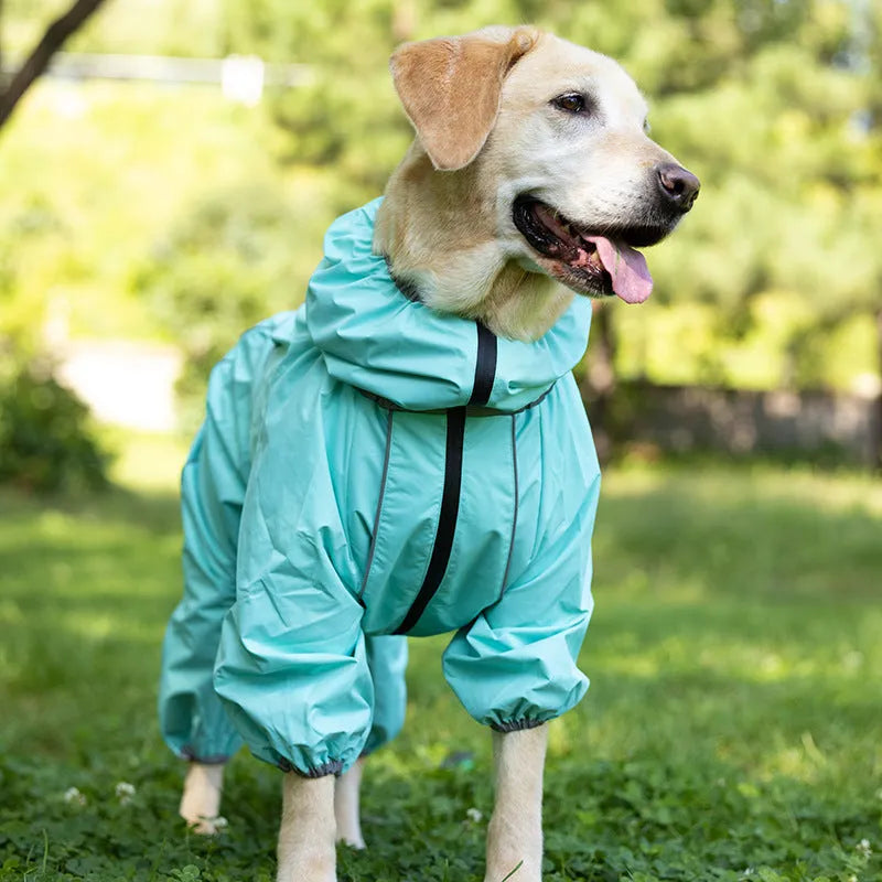 Thickened cotton-padded dog shell jacket in sports style design available in multiple sizes and colours