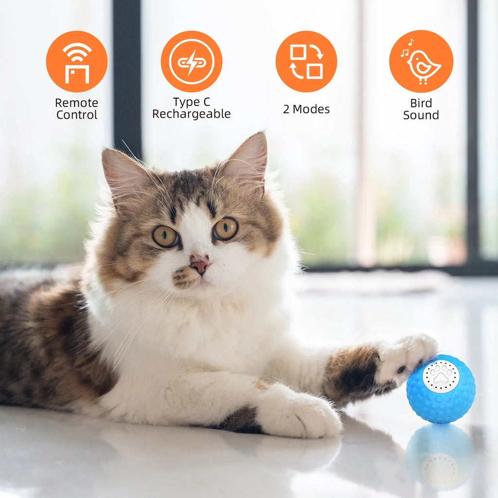 Remote control and colourful plastic ball cat toy with rolling and sound features for interactive play.