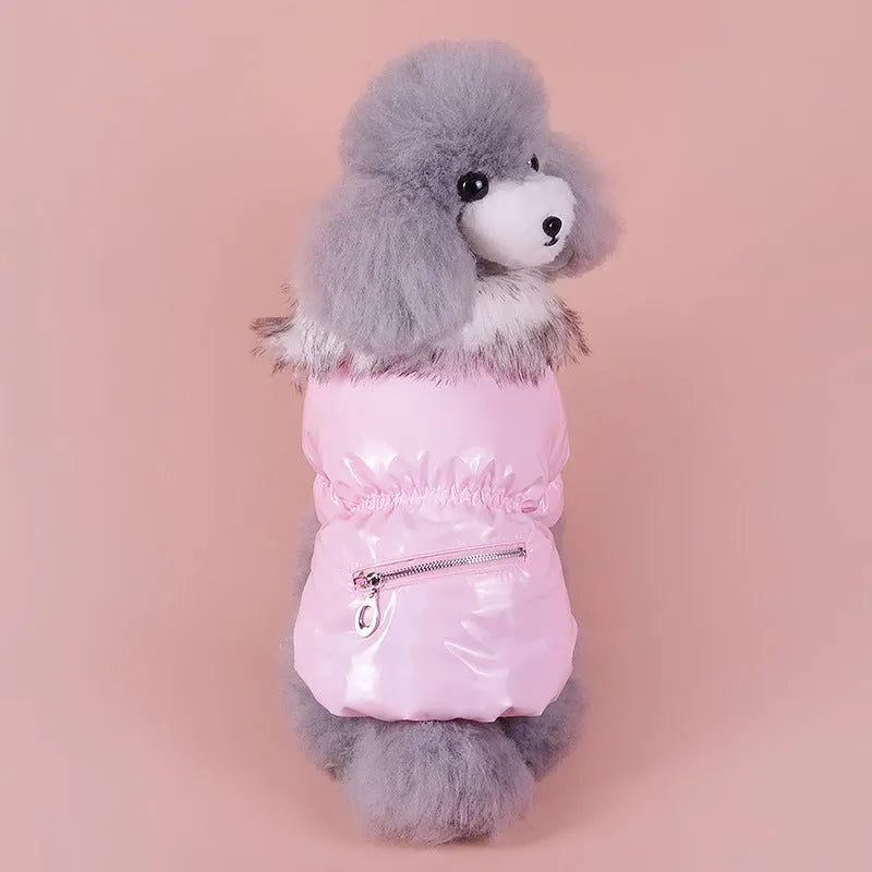 British style blue cotton winter jacket for medium-sized dog with collar and front closure
