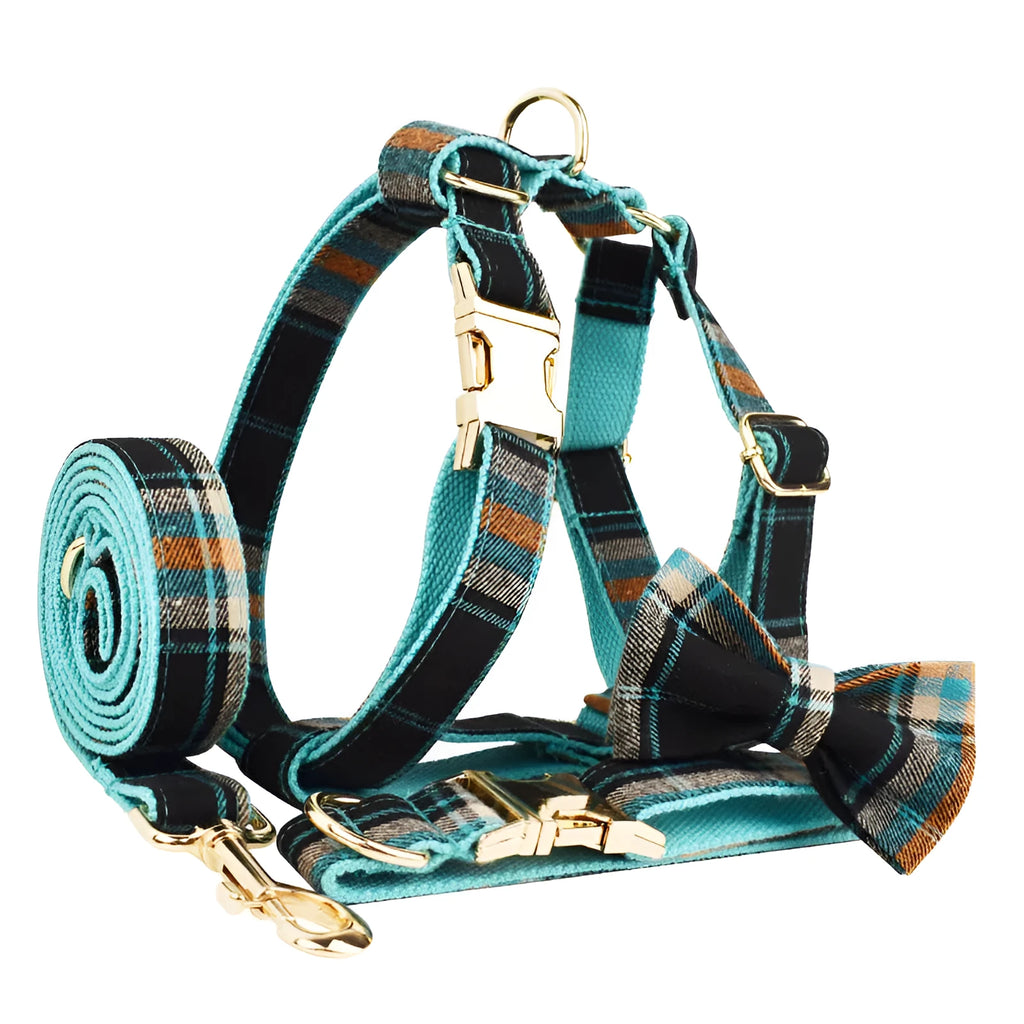 Retro green four-piece dog set showing collar, leash, vest, and decorative bow on a white background.