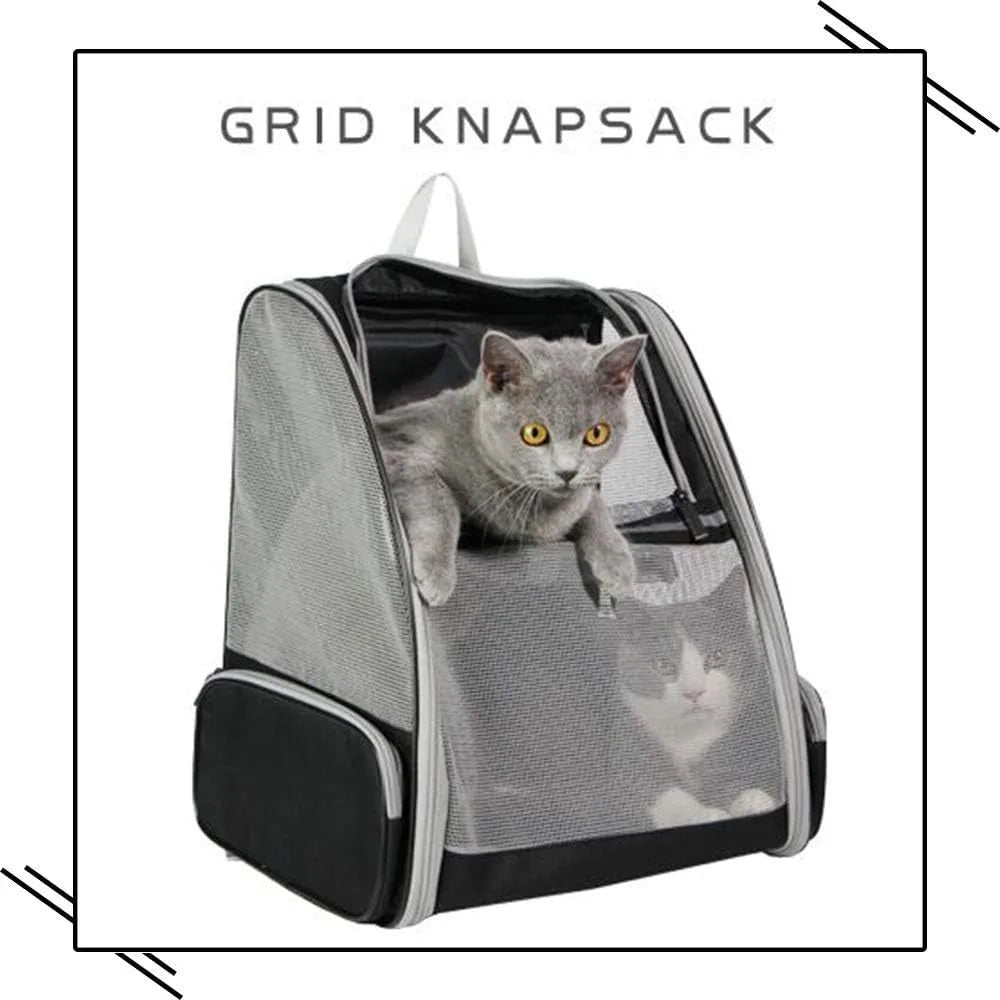 Grey or pink PVC mesh pet carrier backpack for cats and small dogs, 42cm x 31cm x 5cm, with chest buckles and removable mat