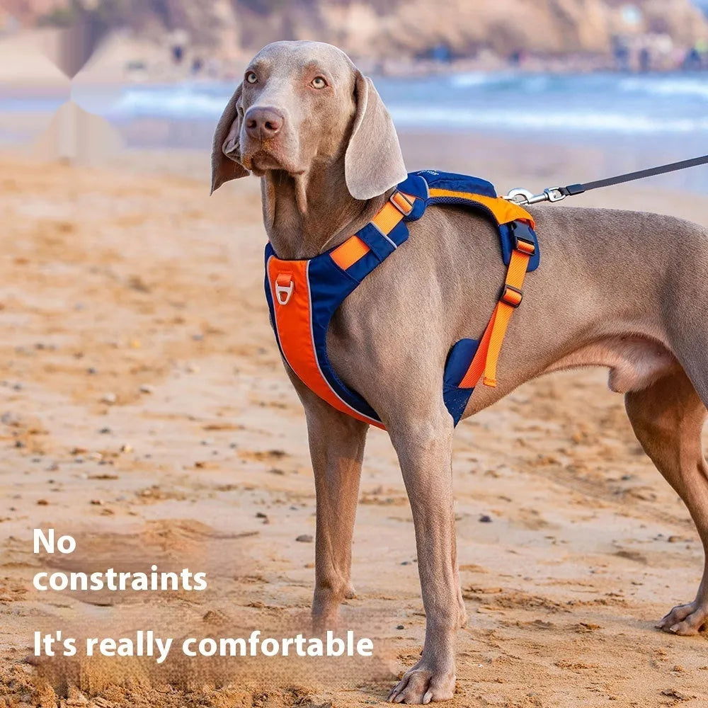 Orange blue nylon dog chest strap harness showing vest style design with single chest back loop