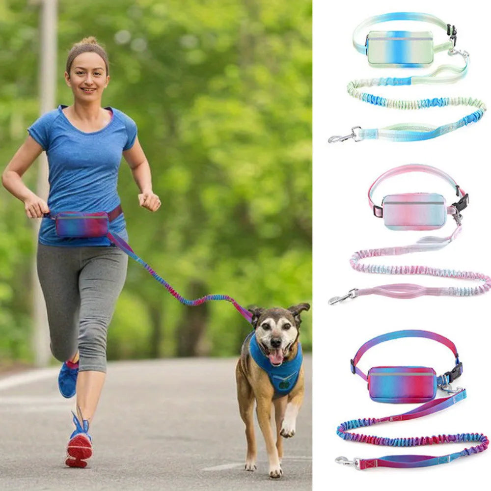 Blue adjustable hands-free dog leash with waist belt and reflective strips for walking and running