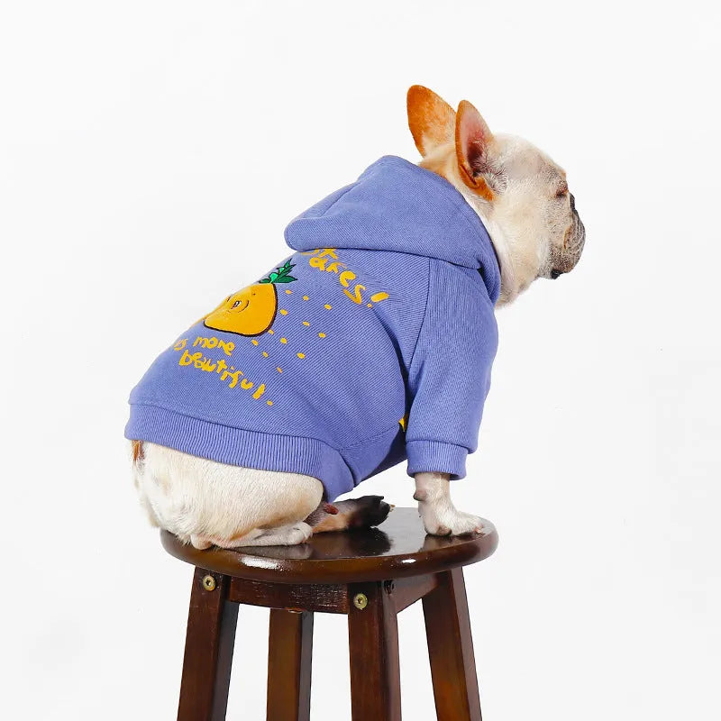 Blue and purple cartoon print cotton plush hoodie for a small dog on a neutral background