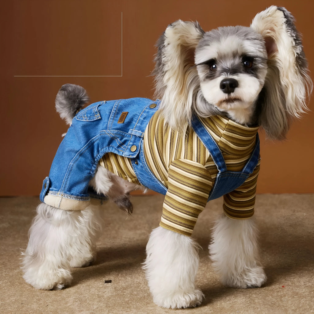 Fleece-lined thickened denim blue dog coat for Teddy, Schnauzer, and Bichon breed sizes XS to XXL