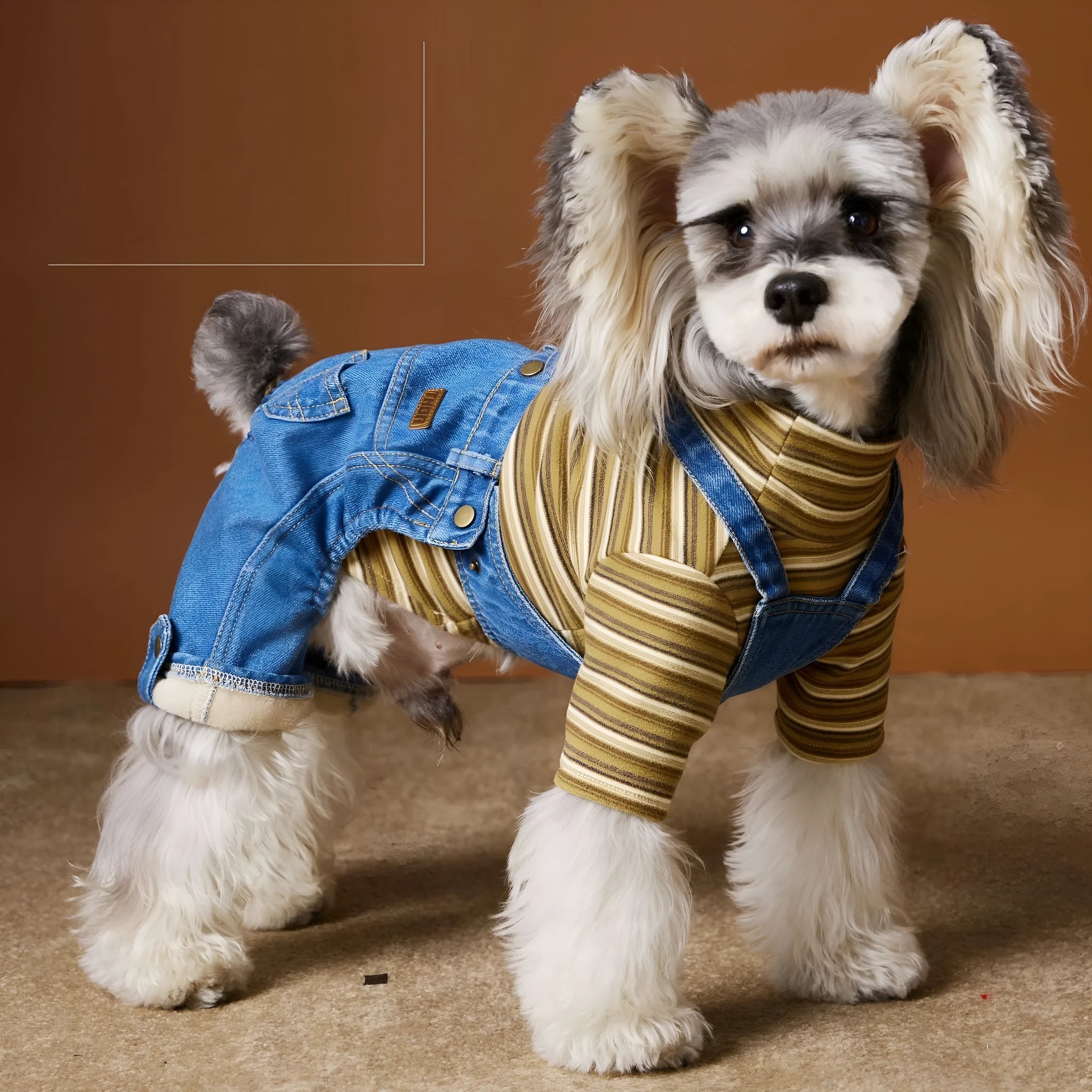 Fleece-lined thickened denim blue dog coat for Teddy, Schnauzer, and Bichon breed sizes XS to XXL