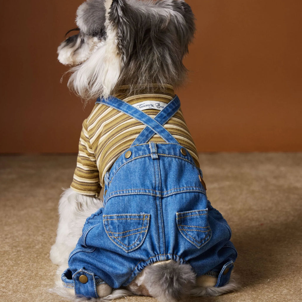 Fleece-lined thickened denim blue dog coat for Teddy, Schnauzer, and Bichon breed sizes XS to XXL