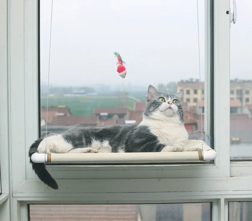 Cat hammock nest 55x35cm with suction cup mounting, mesh cloth surface, off-white or small black mesh