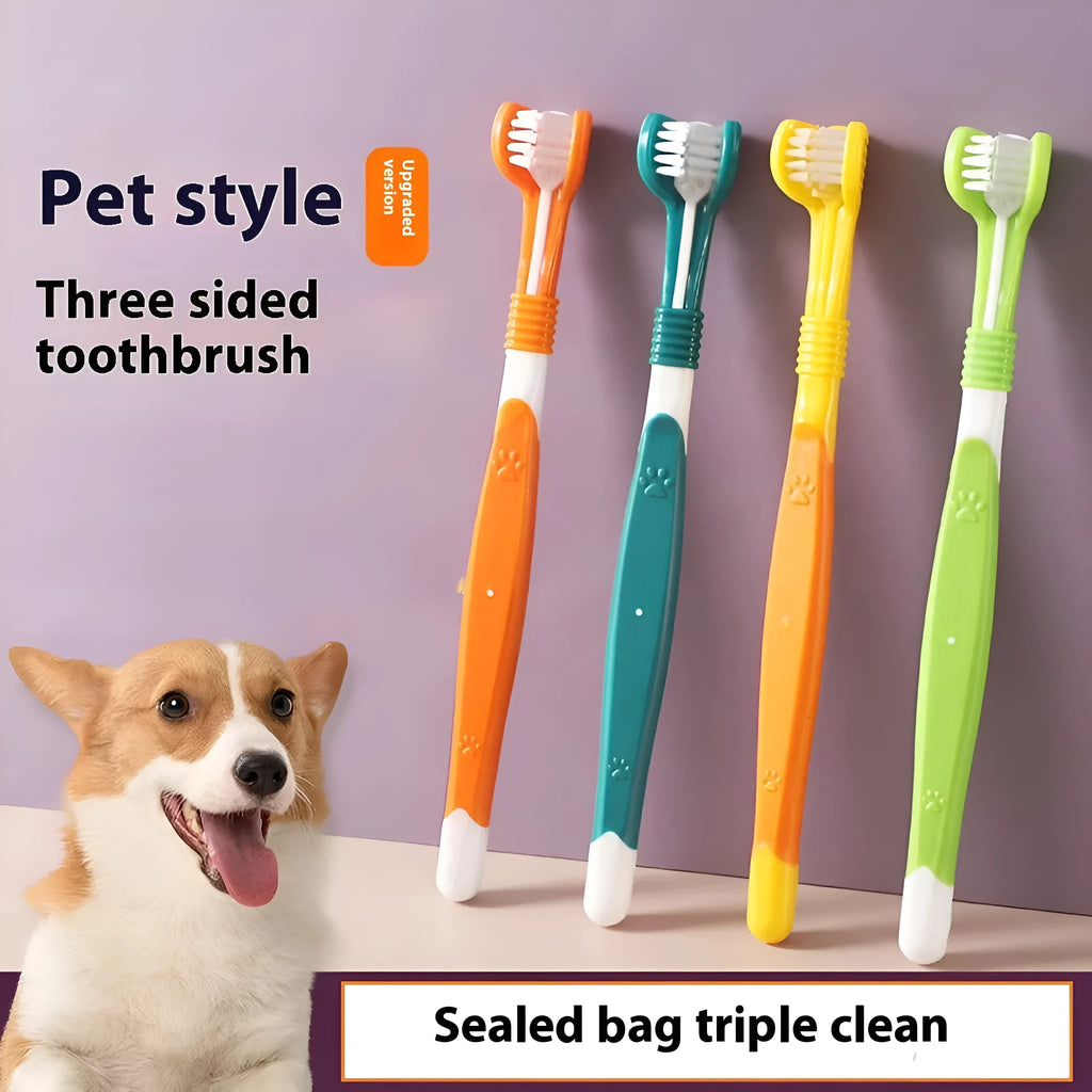 Plastic and nylon pet toothbrush in a sealed bag, colours include orange, green, and blue pink.
