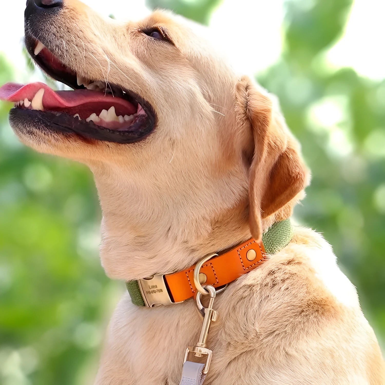 Small dog mohair collar and lead set in six colour options with contrasting lettering
