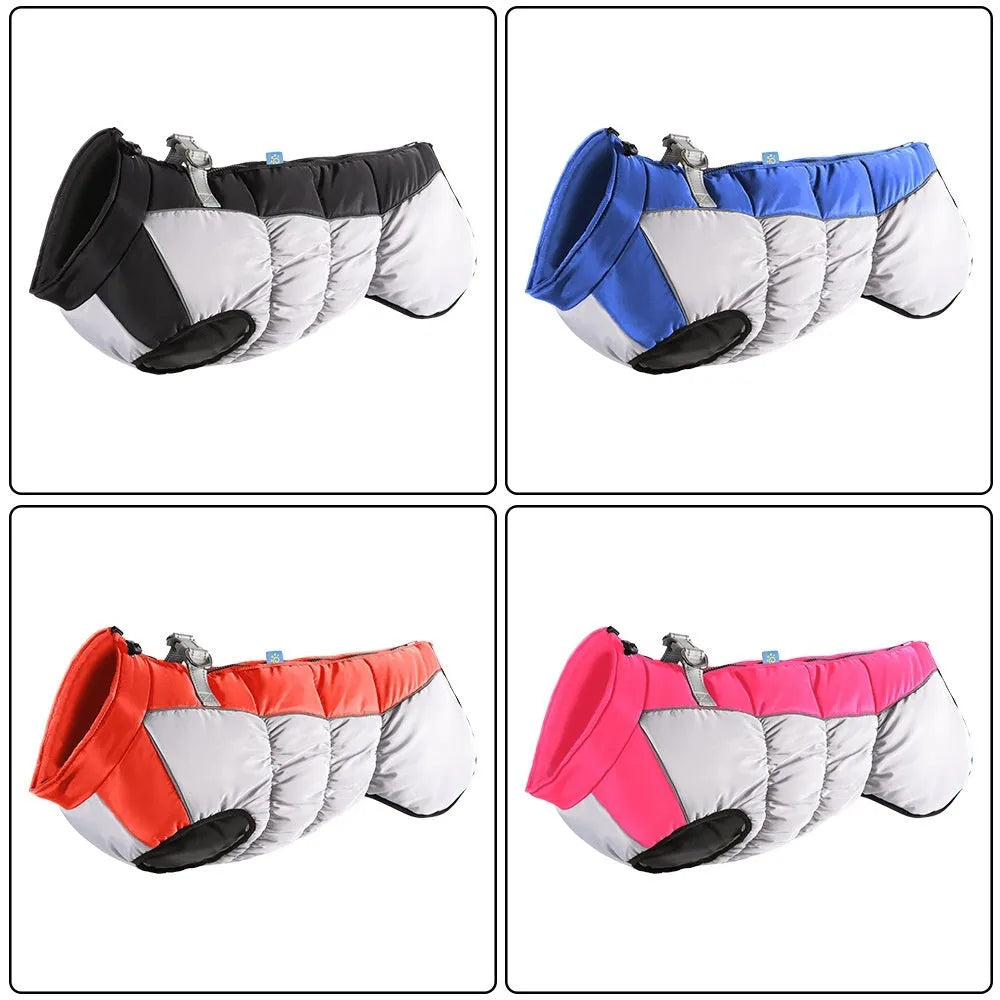 Big dog wearing reflective waterproof winter coat in polar fleece