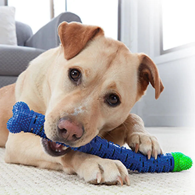 Blue green dog dental cleaning stick with silicone brush head and massage nodules measuring 25cm