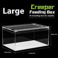 Transparent acrylic reptile feeding box showing five different size options on a white background.