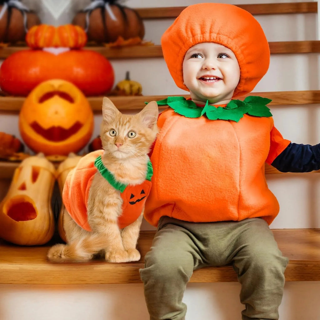 Orange plush pumpkin Halloween costume worn by a small dog, showing pullover design and textured fabric.