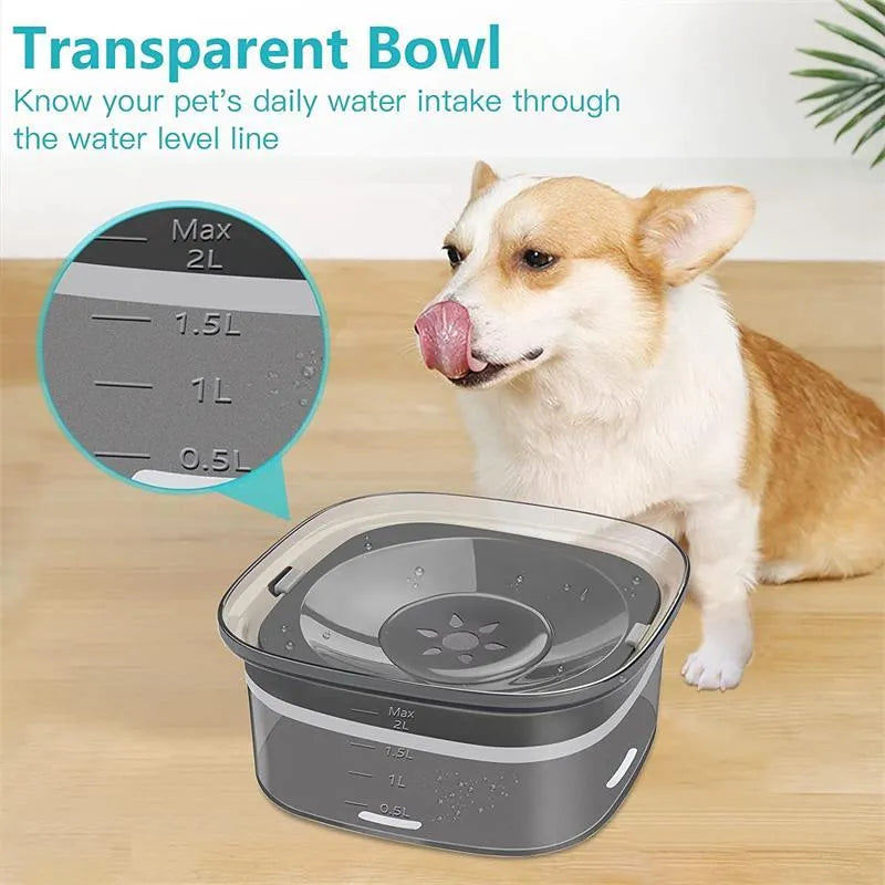 Transparent large dog water bowl with floating disc showing visible water level