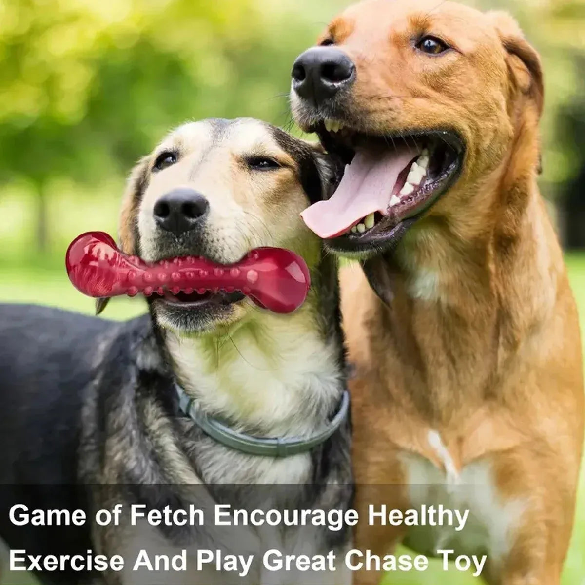 Red natural rubber chew toy for dogs, showing textured surface and solid construction.