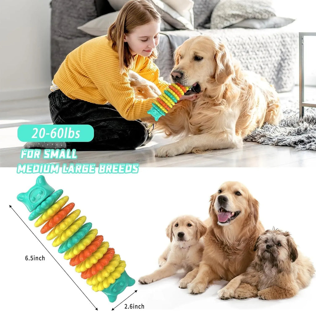 Blue green pink caterpillar-shaped natural rubber chew toy for dogs on a white background