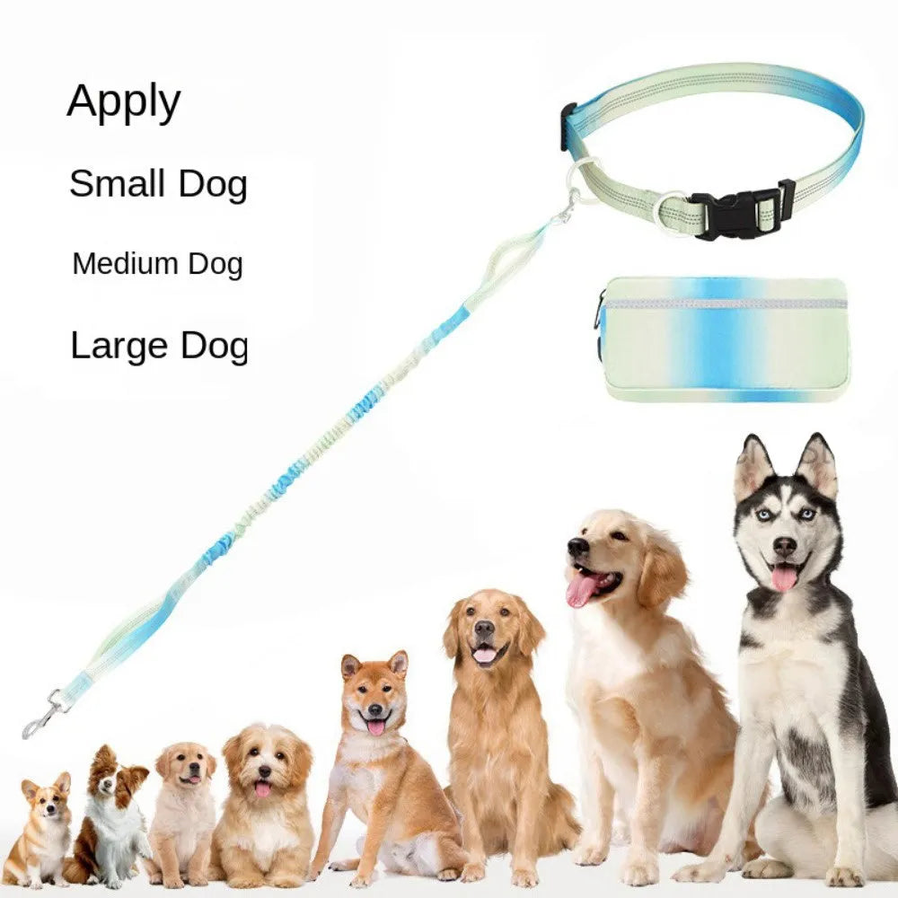 Blue adjustable hands-free dog leash with waist belt and reflective strips for walking and running