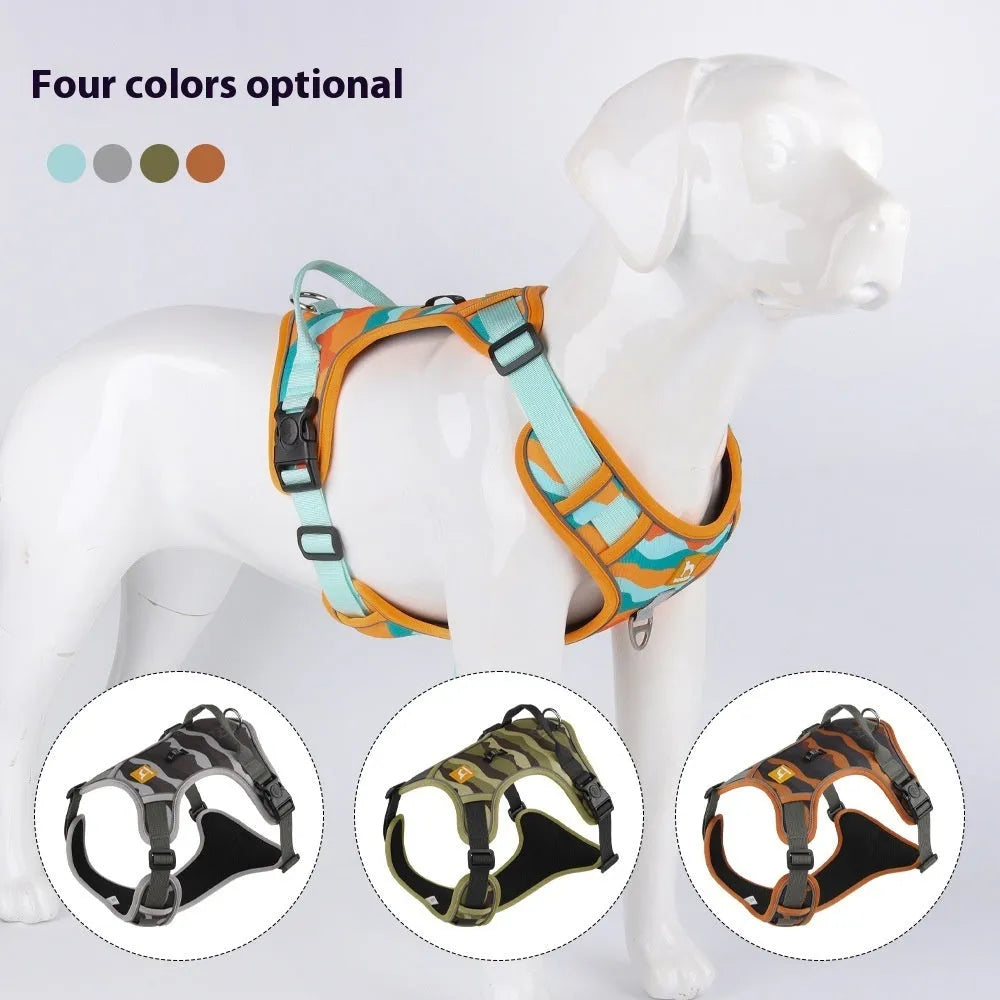 Reflective orange dog harness and leash for chest and back control on a dog.