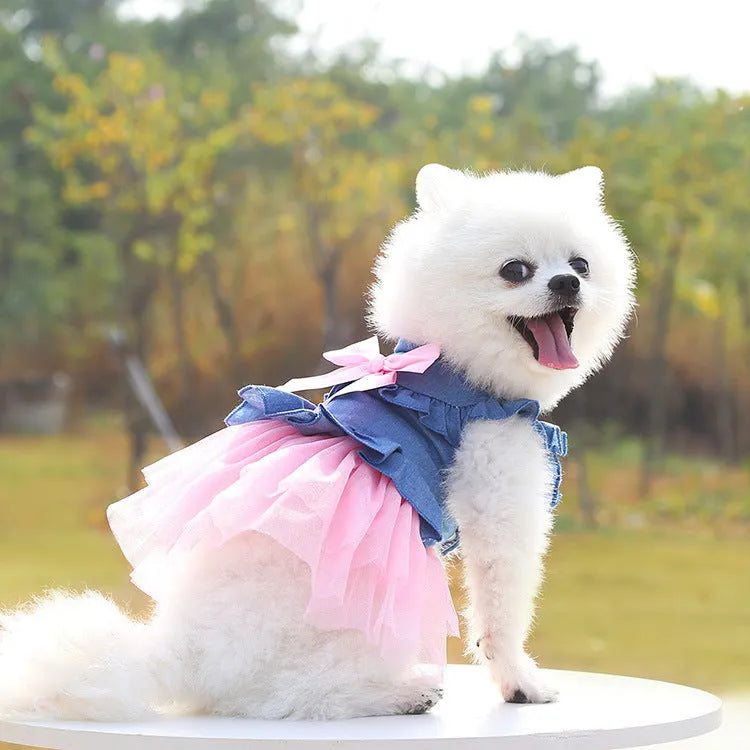 Korean version creative bow pet denim skirt for dogs in princess style with ruffled trim