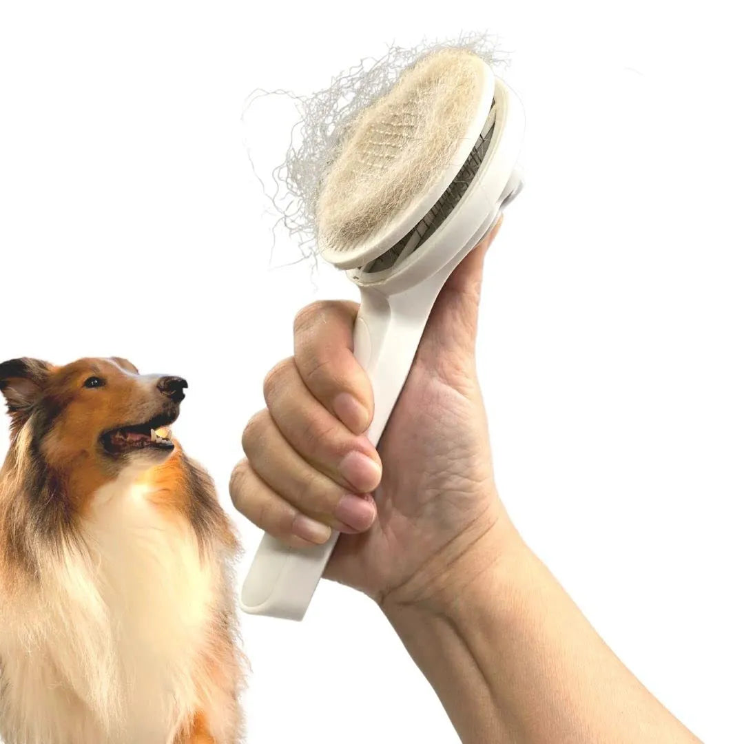 Self-cleaning pet grooming brush with blue rubber handle and stainless steel bristles