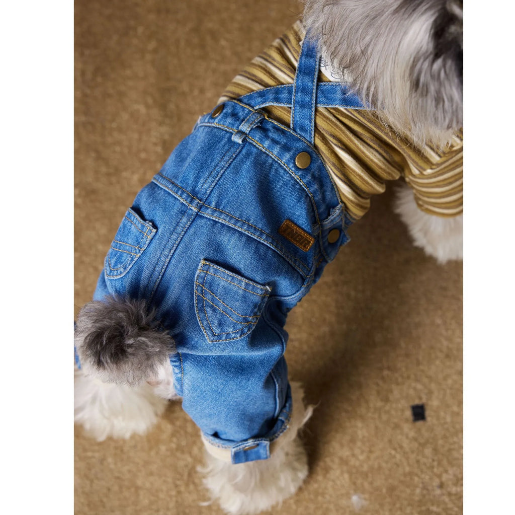 Fleece-lined thickened denim blue dog coat for Teddy, Schnauzer, and Bichon breed sizes XS to XXL
