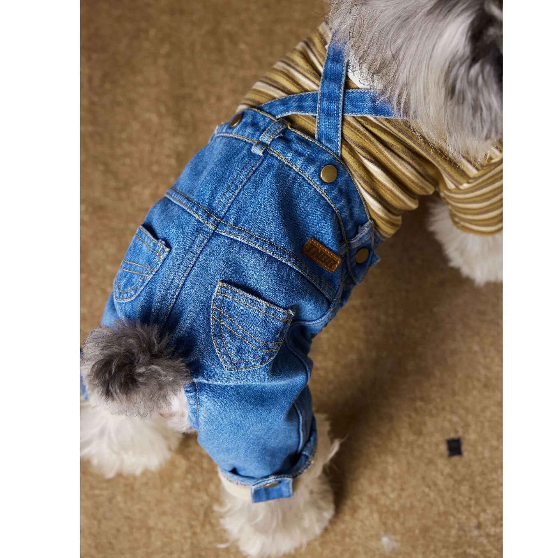 Fleece-lined thickened denim blue dog coat for Teddy, Schnauzer, and Bichon breed sizes XS to XXL