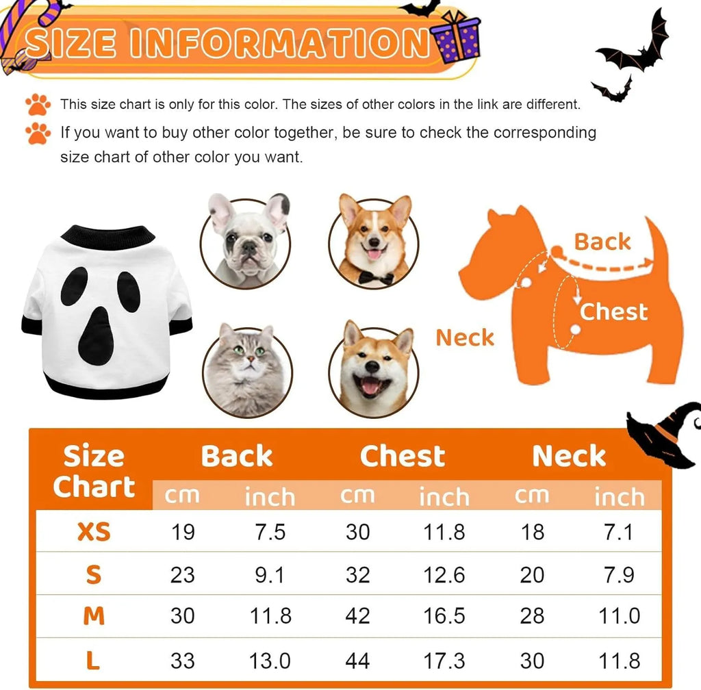 Orange Halloween dog sweatshirt with skeleton print on small Dachshund
