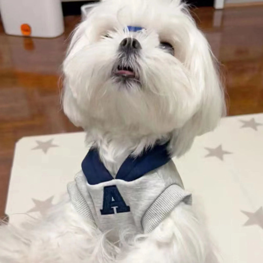 Blue and white slim-fitting pet hoodie with reflective letters for cats or dogs