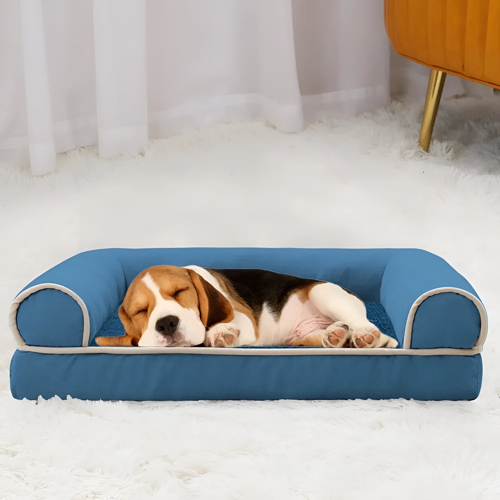 A square blue cloth dog bed with a sponge interior, shown next to size and colour options.