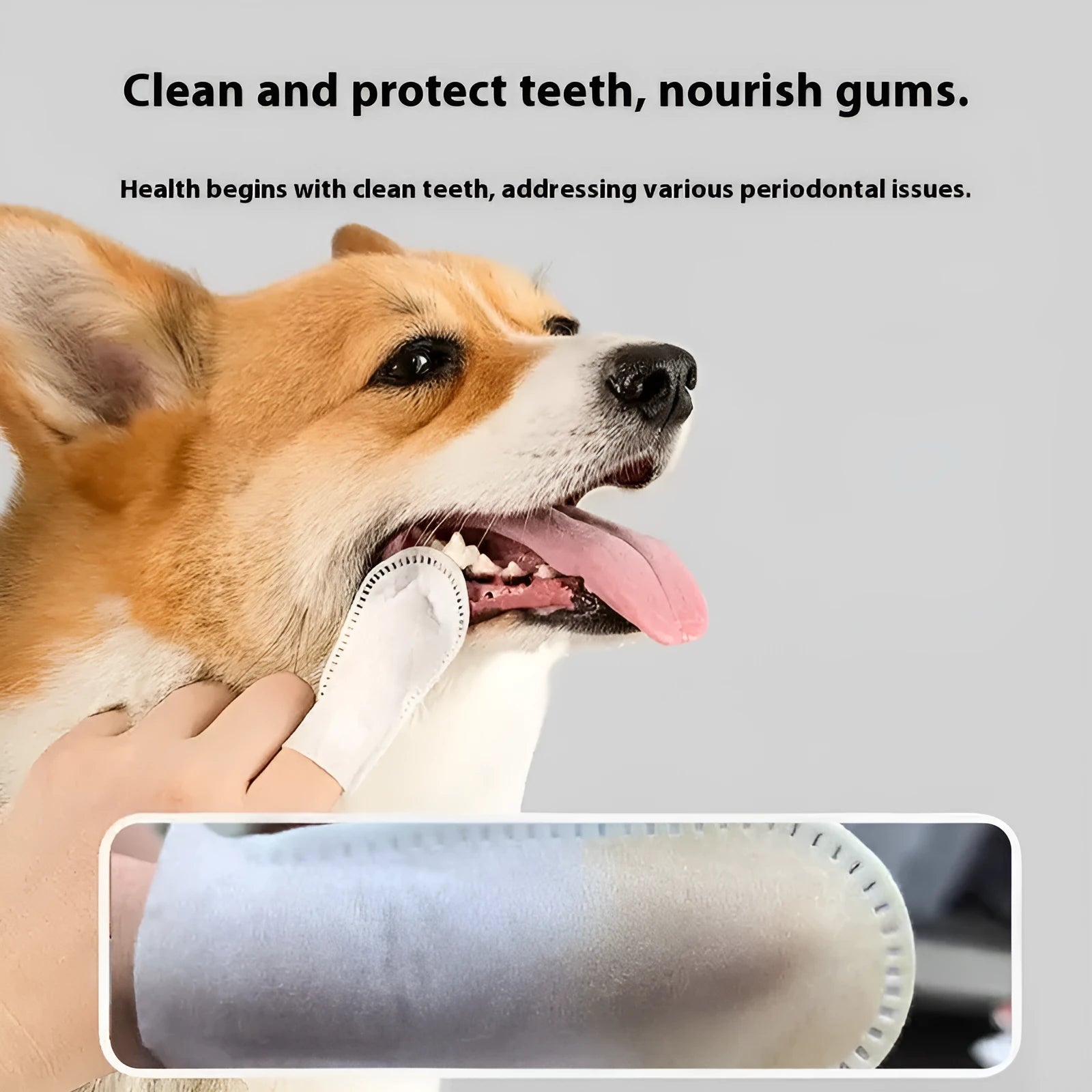 Pack of 50 white non-woven fabric finger cots for cleaning pet teeth on cats and dogs.